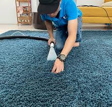 How To Find The Best Carpet Cleaners In Hervey Bay